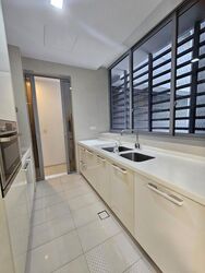 Residences @ Killiney (D9), Apartment #617443751